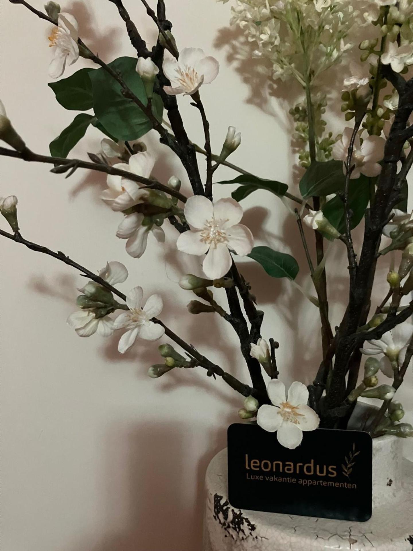 Luxe Appartementen Leonardus 法尔肯堡 外观 照片